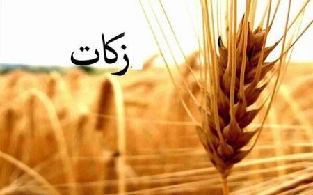راه اندازی پایگاه‌های جمع آوری زکات گندم در حاجی آباد
