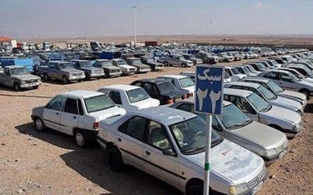 ببینید| توضیحات  معاون فرهنگی انتظامی استان فارس درباره آغاز اجرای طرح ترخیص وسایل نقلیه توقیفی