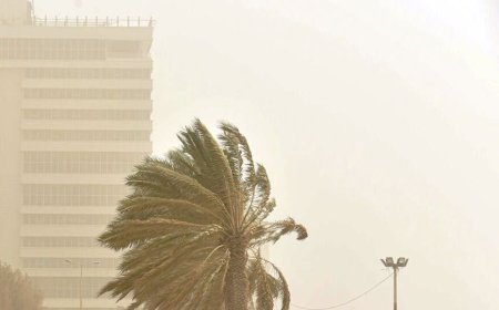 مهمان ناخوانده و تعلیق  زندگی دربوشهر