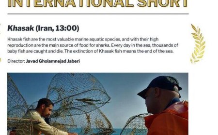 فیلم ساز بوشهری در جشنواره سینمای «سلما »آمریکا خوش درخشید