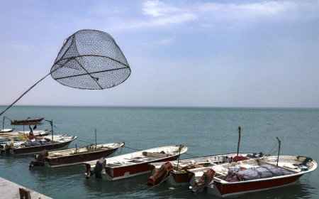 اقدام مشترک استان‌های جنوبی برای حفاظت از ذخایر آبزیان