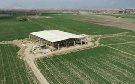 ساماندهی مسیر دسترسی به محوطه تل آجری تخت جمشید