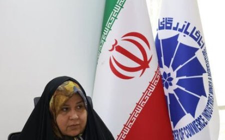 دلالان مانع از تغییر سطح عمومی قیمت ها با وجود ریزش ارزش دلار هستند