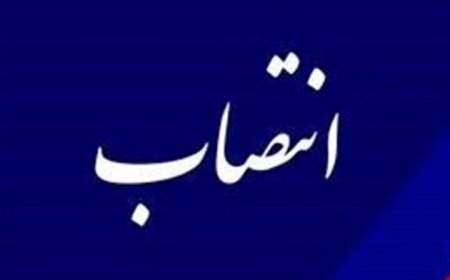 سرپرستان فرمانداری ۴ شهرستان فارس منصوب شدند
