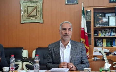 مدیر کل گمرکات فارس خبر داد: از تعلل در صدور مجوزهای گمرکی تا صادرات 603 میلیون دلاری کالا