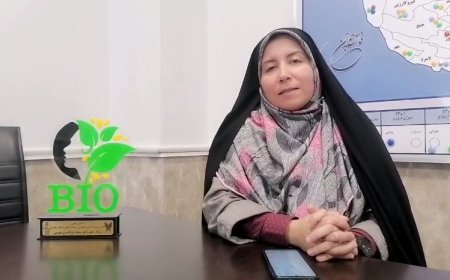 برنامه های روز دختر در فارس اعلام شد