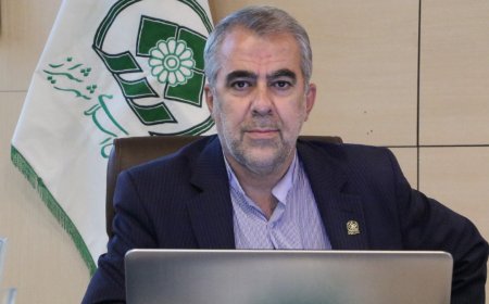 نایب رئیس شورای شهر: پدرخوانده های نوظهور می خواهند امور شیراز را بدست گیرند