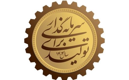 رئیس شورای شهر مطرح کرد: شیراز روی ریل سرمایه‌گذاری/ ۳۰ همت در راه است