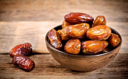 سرمایه‌گذاری در شیلات و خرما؛ ۲ اولویت اقتصادی خوزستان