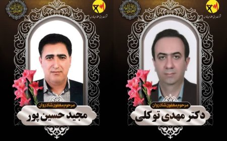 معاون شرکت برق منطقه ای فارس در حادثه تصادف درگذشت