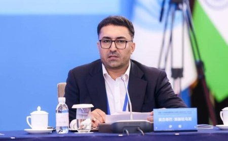پرداخت دیه جان‌باختگان انفجار بندرعباس ظرف ۴۸ ساعت