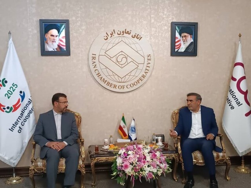 استاندار فارس مطرح کرد: توانمندی تعاونی‌ها برای ورود به سرمایه‌گذاری برای تولید