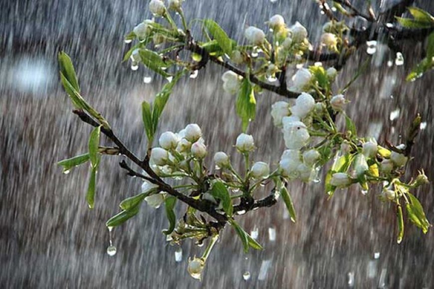 رگبارهای بهاری در راه فارس/ هشدار زرد هواشناسی صادر شد