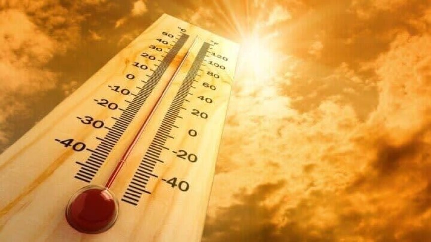 دمای هوای استان بوشهر فردا افزایش قابل ملاحظه‌ای خواهد داشت