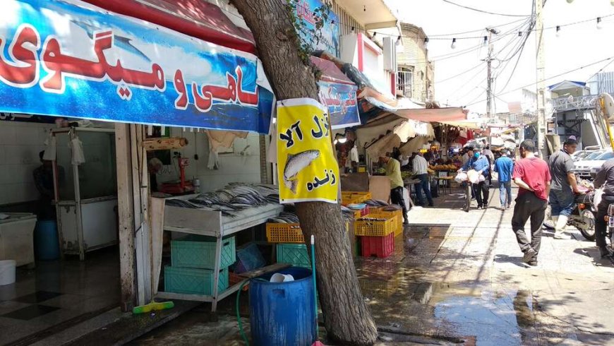 سرانجام ساماندهی دروازه کازرون شیراز/ممنوعیت فعالیت صنوف پروتئین و تره‌بار
