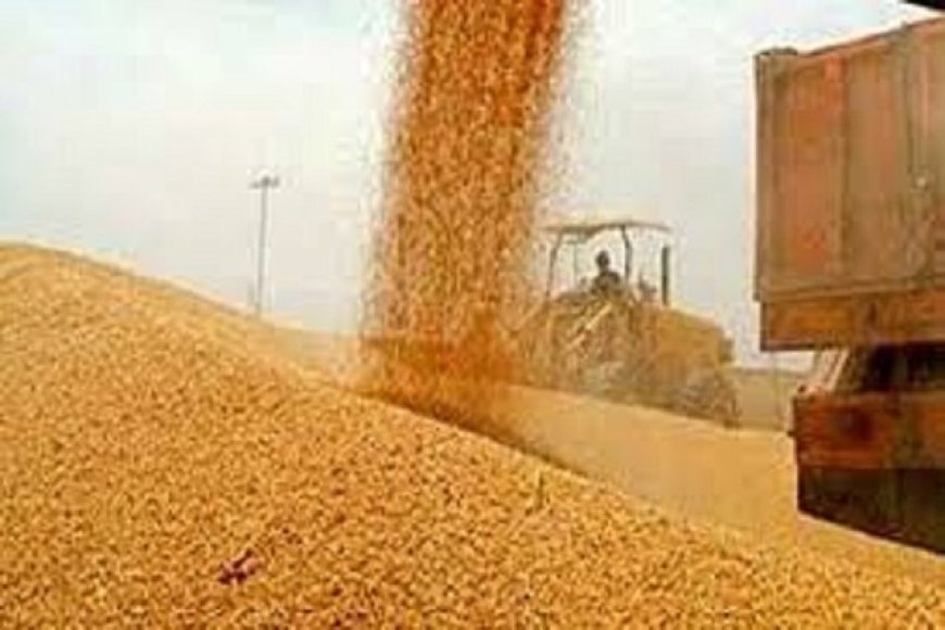 مراکز خرید گندم نباید در ساعات اوج فعالیت، با خاموشی مواجه شوند