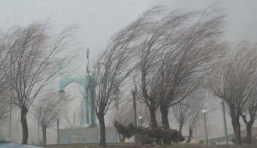 باد شدید و گردوغبار در شیراز
