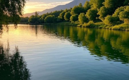 آرامش بی‌انتها در تالاب حله بوشهر  جایی که طبیعت با انعکاس آسمان در آب، جادو می‌کنه!