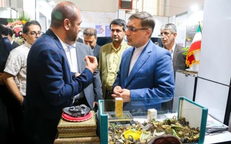 رهاورد فارس از اکسپو ۲۰۲۵ تهران ، ۳۰ تفاهم‌نامه همکاری و معرفی ۲۰ زنجیره ارزش اقتصادی