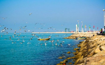 نخستین خواهرخوانده رسمی بوشهر: گامی به سوی همکاری‌های بین‌المللی