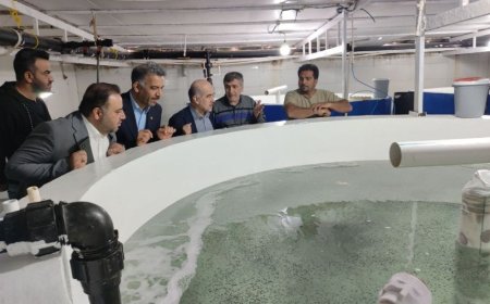 بوشهر به عنوان دبیرخانه ملی زنجیره راهبردی ارزش زیست فناوری دریایی و شیلات انتخاب شد