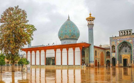 بر آستانِ ولایت ، گزارش «خبرجنوب» به مناسبت  بزرگداشت حضرت احمد بن موسی (ع)
