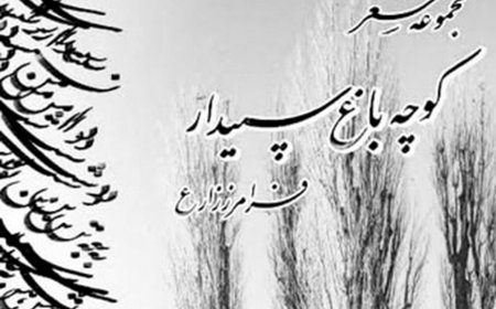کوچه باغ سپیدار