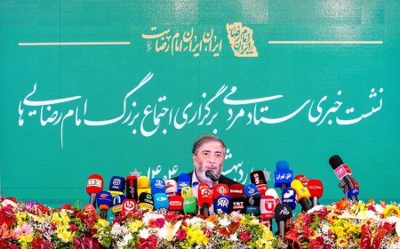 ادای احترام اجتماع بزرگ امام رضایی‌ها به مردم بندرعباس