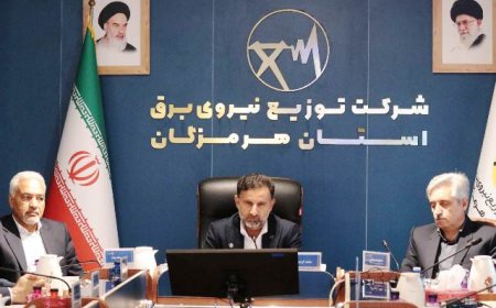 ارزیابی شرکت توزیع برق هرمزگان با حضور نمایندگان شرکت توانیر 