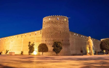 ببینید| ویدئوی جنجالی بالارفتن یک جوان از ارگ تاریخی کریمخان!