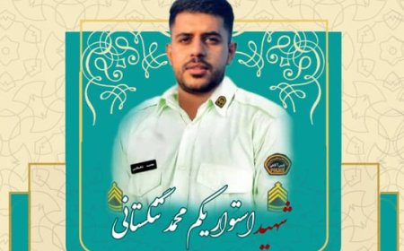 شهادت يکي از مأموران پلیس آگاهی هرمزگان