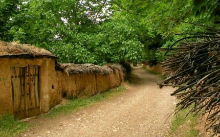 نظارت بر فراز باغ‌های قصردشت با بالن مقید