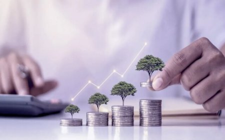 جهش سرمایه‌گذاری از ۴ میلیارد به ۶۱ هزار میلیارد تومان در شیراز