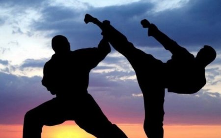 یک خوزستانی مربی تیم‌ملی MMA شد
