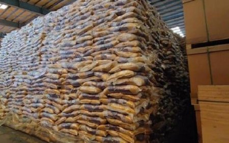 آغاز طرح تشدید نظارت بر محصولات لبنی، برنج وارداتی و داخلی در هرمزگان