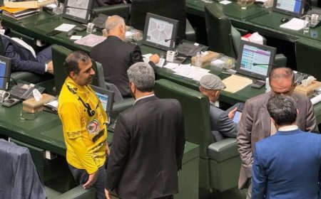 حضور نماینده شیراز با پیراهن ورزشی در مجلس