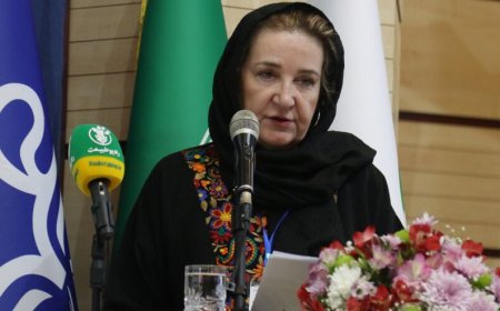 مدیر اجرایی یونسکو: ادغام دانش بومی و روش‌های نوین برای حفاظت از محیط زیست ضروری است