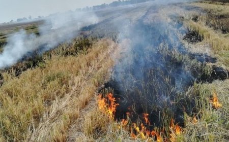 آلودگی از خاک تا آسمان؛ ضرورت توقف آتش‌سوزی‌های کشاورزی در خوزستان