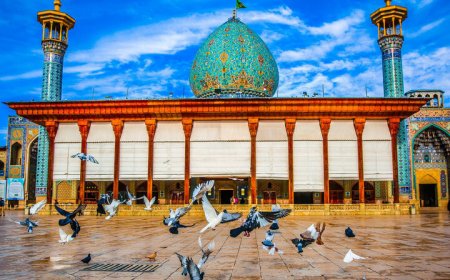 رأی ۷ متهم پرونده عوامل پشتیبان حادثه تروریستی شاهچراغ صادر شد