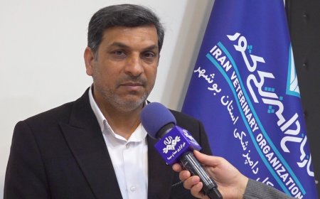 تولید ۲ برابری لارو میگو در استان بوشهر