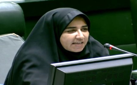 فلاحی: دیه جانباختگان حادثه بندر شهید رجایی کامل پرداخت شود