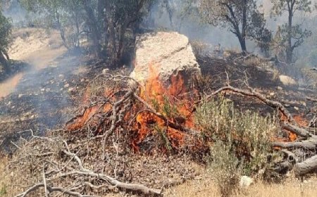 لوداب در آتش؛کمبود امکانات مهار آتش را دشوار کرده است