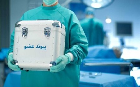 بیش از ۹۰ درصد موارد مرگ مغزی در کهگیلویه و بویراحمد، رضایت اهدای عضو دادند