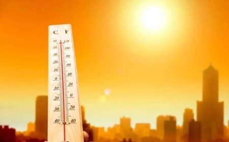 ثبت دمای ۵۰ درجه در فارس / از شدت گرما در اوایل هفته آتی کاسته می‌شود