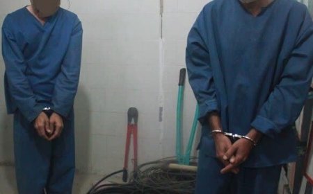 انهدام باند شکارچیان غیرمجاز در دشتستان