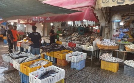 کدام اصناف باید از دروازه کازرون به بازار پروتئین منتقل شوند