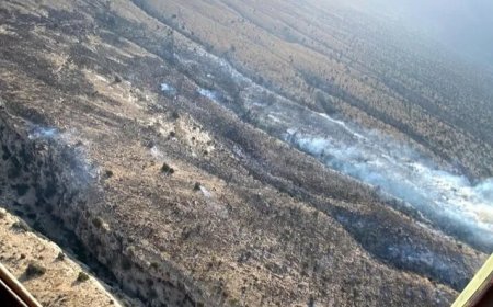 آتش سوزی در ارتفاعات هماگ هرمزگان مهار شد