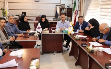 پایش مستمر برای استفاده بهینه از اراضی شهرک‌های صنعتی فارس ادامه دارد