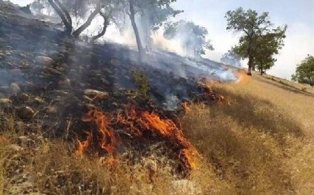 آتش‌سوزی ارتفاعات صدرا مهار شد