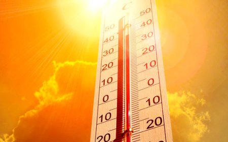 بندر دیر با ۴۹ درجه گرم‌ترین نقطه استان بوشهر
